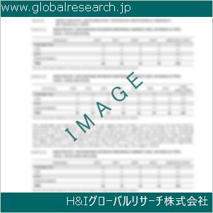 グローバルリサーチ調査資料のイメージ